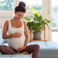 The Importance of Accessing Reproductive and Sexual Health Services in Ada County, Idaho